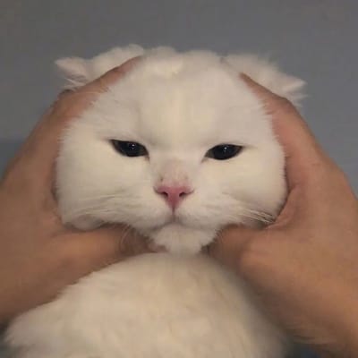 กัน อรรถพันธ์ avatar